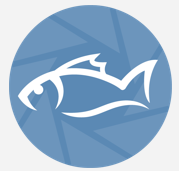 image-20250917-134146.png