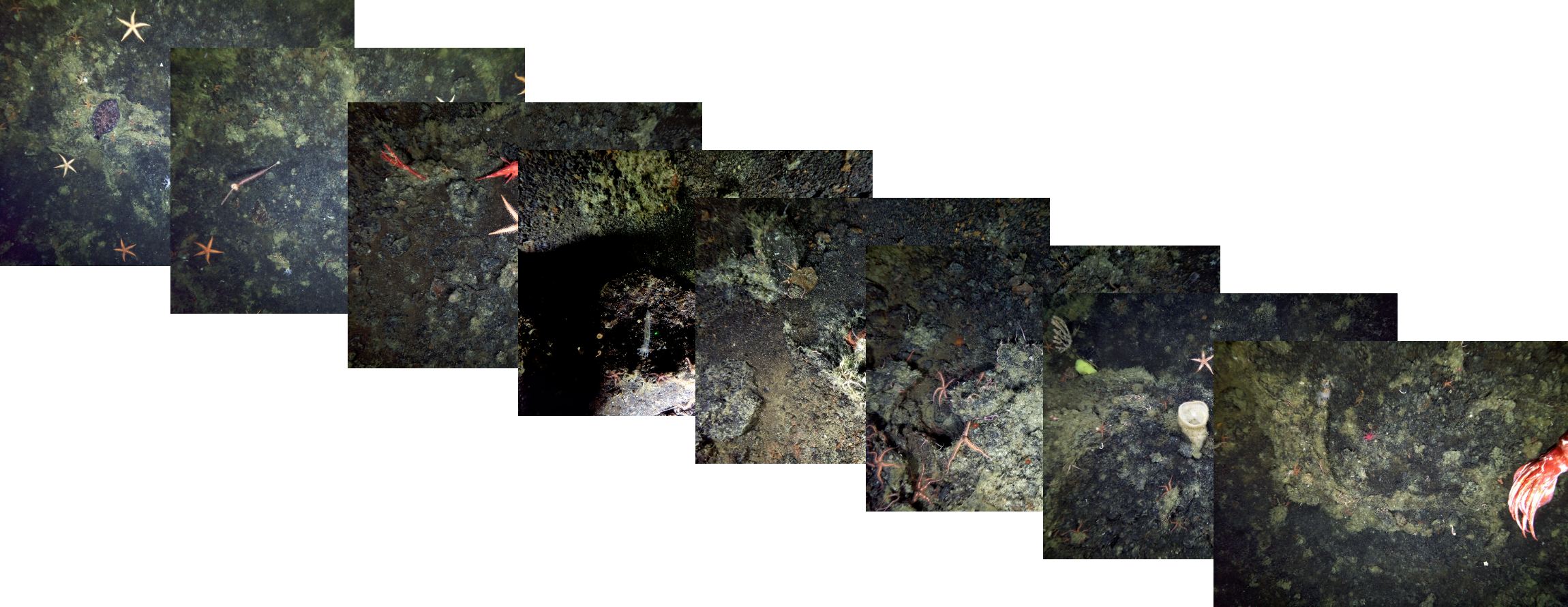 Timelapse Overlap.png