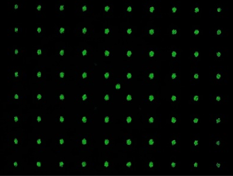 image-20230717-130411.png